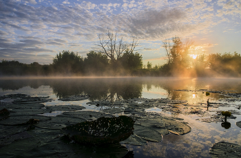 Лето. / Озеро Студёное.