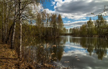 Теплый Апрель 2023 # 06 / 22 апреля 2023 года, Восточное Подмосковье, Дрезна ...