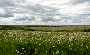 майский пейзаж / май, Подмосковье