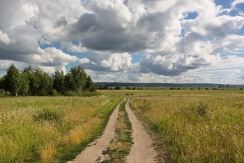 Подмосковные просёлки / Пригород