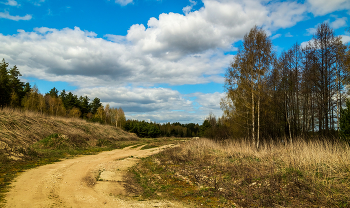 Теплый Апрель 2023 # 08 / 22 апреля 2023 года, Восточное Подмосковье, Дрезна ...