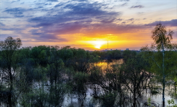 Весна за городом / 2023