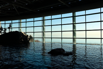 Без названия / ***