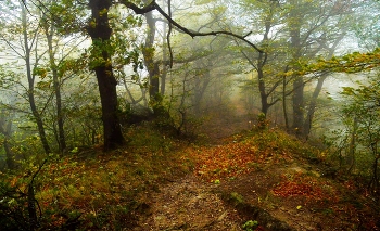 На осенних склонах...... / Железноводск. Октябрь