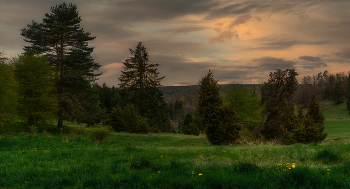 Весеннее раздолье / Близ жилого района Ройтенен