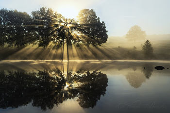 Солнечный шатёр / Майские туманы