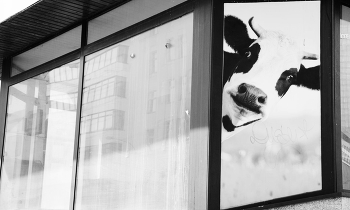 &nbsp; / Варшава 2021