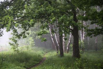 &nbsp; / утро, туман, Фрязино