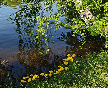 Вот такие простые майские берега... / Чудесный май во всей красе...
