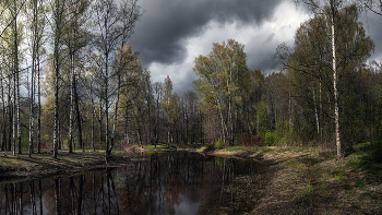 Весна... / Природа...