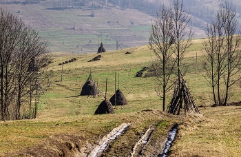 &nbsp; / весна,карпаты