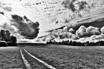 "Облако то клочковато, то неуклюже ..." / "Облако то клочковато, то неуклюже.
 Вспомню о чем-нибудь и забываю тут же,
 Только забуду, как вспомню дивные лица
 Милых друзей, от которых и тень лучится ..."
 И.Лиснянская