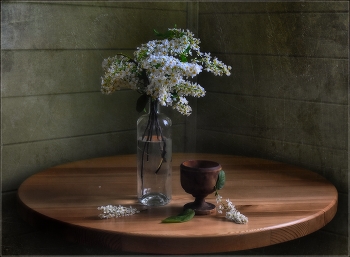 ...... Черемуха.Весна.Май ...... / предметная композиция