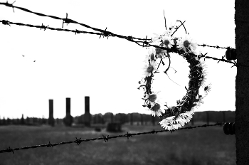 &nbsp; / Аушвиц 2019