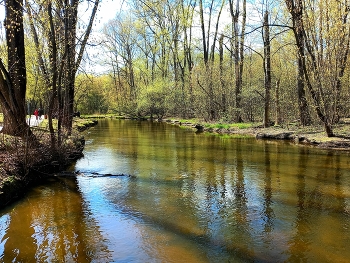 река Яуза в Бабушкинском / река Яуза в Бабушкинском