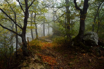 Пути осенние..... / Железноводск. Октябрь