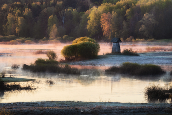 Утро в Пушкинских горах / Вид на реку Сороть с Савкиной горки