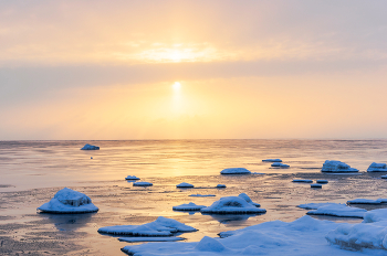Финский залив в января. / 2016 год.