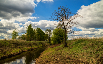 Майская прохлада Подмосковья # IV / 08 мая 2023 года. Восток Подмосковья, река Дрезна