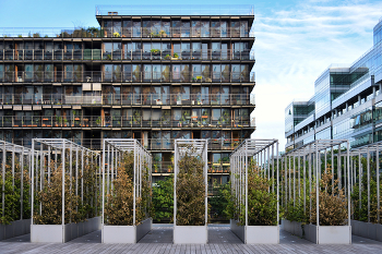 Городское садоводство / Париж