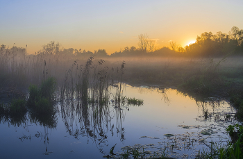 На рассвете. / Весенние туманы.