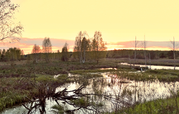Весенним вечером на разливе / Весенним вечером на разливе