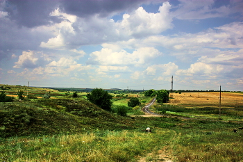 Дорога на хутор / Простор, поля,небо,облака