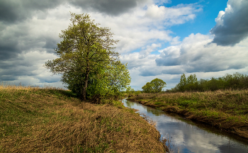 Майская прохлада Подмосковья # VII / 08 мая 2023 года. Восток Подмосковья, река Дрезна.