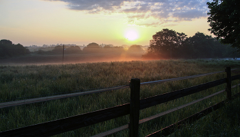 Утро за околицей / ***