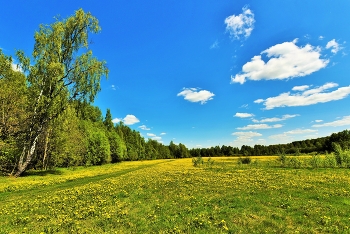 "Облака опять поставили паруса свои ..." / "Облака опять поставили
 Паруса вои.
 В зыбь небес свой бег направили,
 Белые ладьи.
 Тихо, плавно, без усилия,
 В даль без берегов
 Вышла дружная флотилия
 Сказочных пловцов ..."
 В.Брюсов