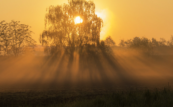 СВЕТОТЕНИ / ***