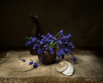 Мускари / Мускари