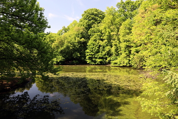 Лето в Бруклине / ***