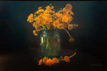 &nbsp; / Весеннее соответствие