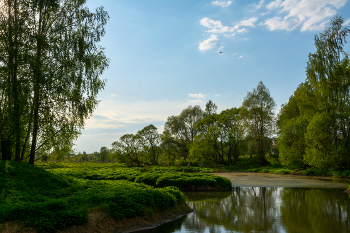 вечерний вечер в Подмосковье / весна, Подмосковье, вечереет
