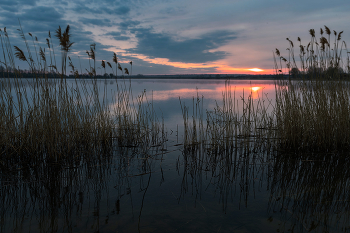 Ветерок на рассвете / ***