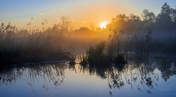 Рассвет в мае. / ***