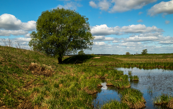 Прохладный май (облачный край) # 05 / 14 мая 2023 года. Восток Подмосковья, Дрезна, пойма реки Клязьма