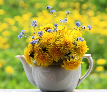 Одуванчиковая пора! / Натюрморт с одуванчиками!