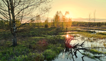 Майский вечер на озёрах в Полесье / Майский вечер на озёрах в Полесье