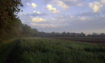 Нежное утро / ***