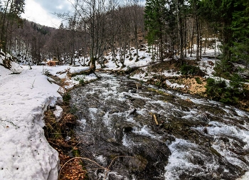 Весеннее обновление / Весна