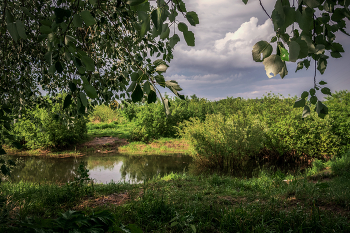 Перед грозой / Фотография сделана в минуту затишья, примерно за 5 минут до сильнейшего ливня. После чего конечно я промок до нитки 🤷‍♂️