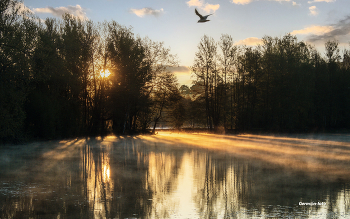 Восход / утро,восход солнца на озере