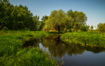 Майское утро 2023 / 27 мая 2023 года. Восток Подмосковья, Дрезна.