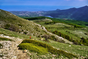 На южных склонах Чатыр-Дага / Крым. Чатыр-Даг