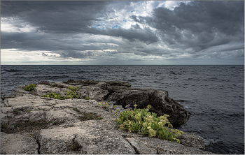 Крымский берег / Крым