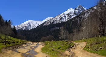 Весна в горах / Архыз