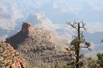 Гранд Каньон... / ***