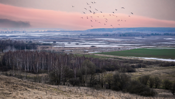Пойма реки Жиздра / После разлива